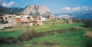 Spain Partridge Shooting