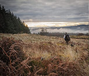 pheasant-shooting-3