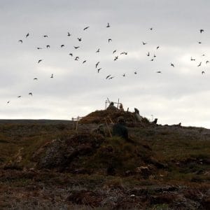 May HRW Newsletter