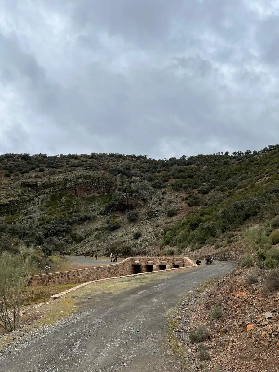 Guns lined out along the valley track beneath the rocky escarpment on a drive at La Cuesta