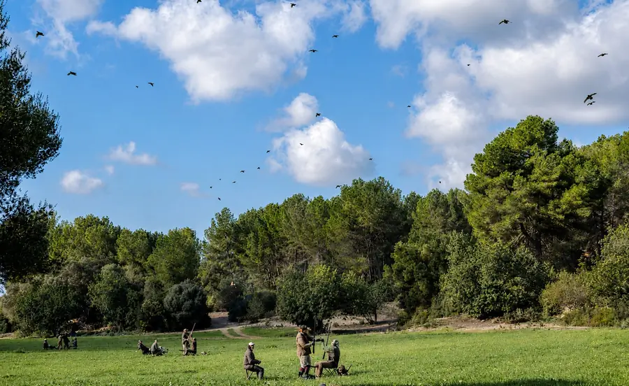 Guns seated at their pegs in a green meadow at Las Barracas, birds over the pine woodland beyond