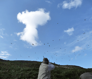 Partridge Shooting