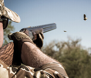 Dove and Pigeon Shooting 2